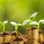 2016, The Year of Green Finance