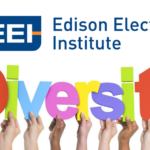 Winners of Edison Electric Institute's 2017 Business Diversity Awards Named