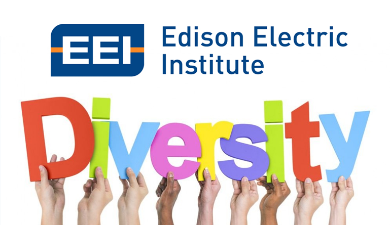 Winners of Edison Electric Institute’s 2017 Business Diversity Awards Named